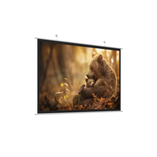 Экран для проектора настенный, потолочный HIPER CINEMA SWT 16x9-150