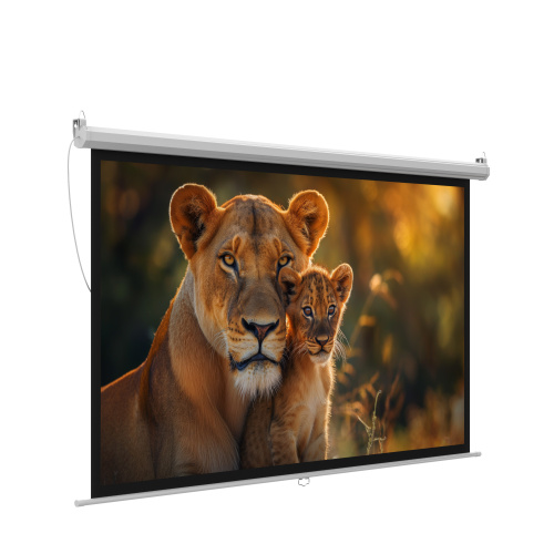 Экран для проектора с электроприводом HIPER CINEMA SMR 16x9-72