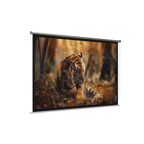 Экран для проектора настенный, потолочный HIPER CINEMA SWR 16x9-150